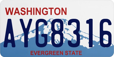 WA license plate AYG8316