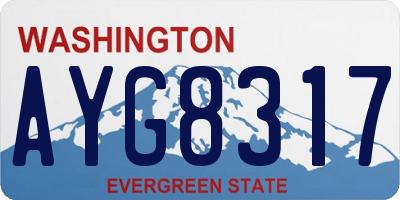 WA license plate AYG8317