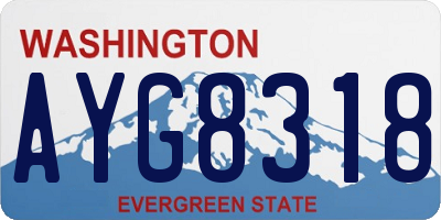WA license plate AYG8318