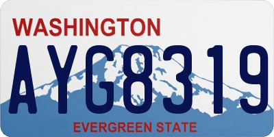 WA license plate AYG8319