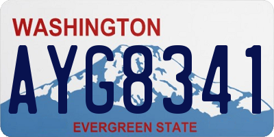 WA license plate AYG8341
