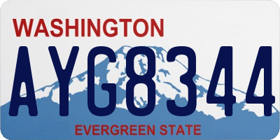 WA license plate AYG8344