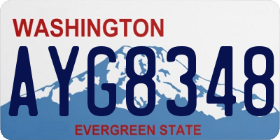 WA license plate AYG8348