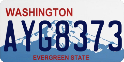 WA license plate AYG8373