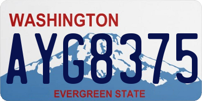 WA license plate AYG8375