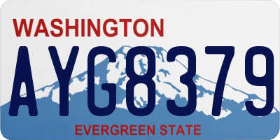 WA license plate AYG8379