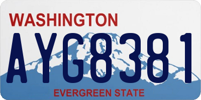 WA license plate AYG8381