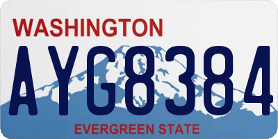 WA license plate AYG8384