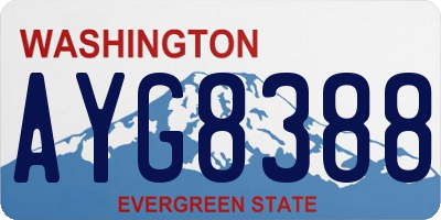 WA license plate AYG8388
