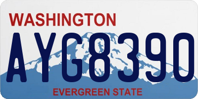 WA license plate AYG8390