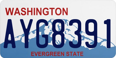 WA license plate AYG8391
