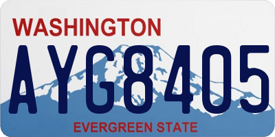 WA license plate AYG8405
