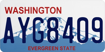 WA license plate AYG8409