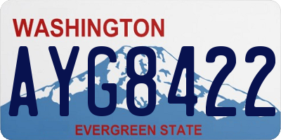 WA license plate AYG8422