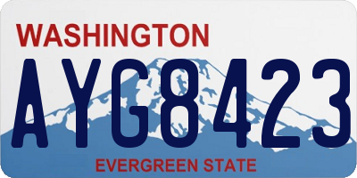 WA license plate AYG8423
