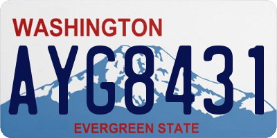 WA license plate AYG8431