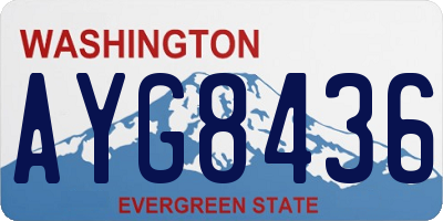 WA license plate AYG8436