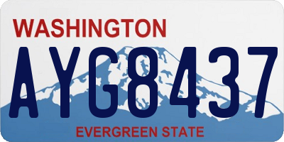 WA license plate AYG8437