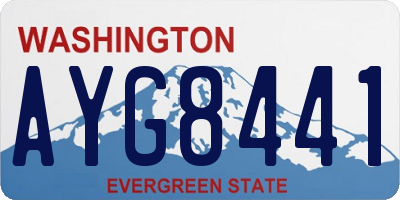 WA license plate AYG8441