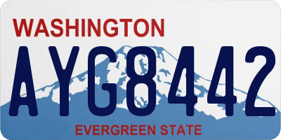WA license plate AYG8442