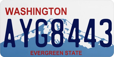 WA license plate AYG8443