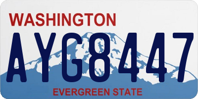 WA license plate AYG8447