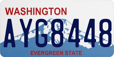 WA license plate AYG8448