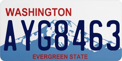 WA license plate AYG8463