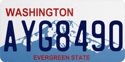 WA license plate AYG8490