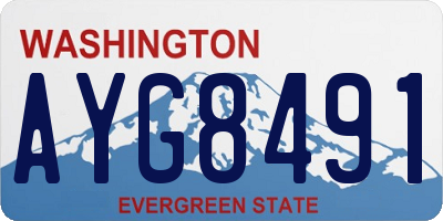 WA license plate AYG8491