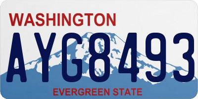 WA license plate AYG8493