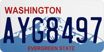 WA license plate AYG8497