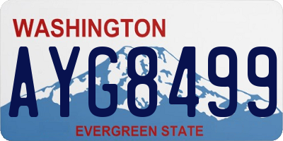 WA license plate AYG8499