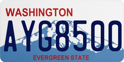 WA license plate AYG8500