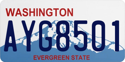 WA license plate AYG8501