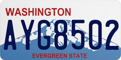 WA license plate AYG8502