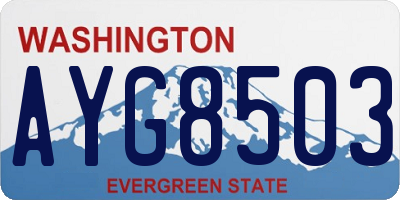 WA license plate AYG8503