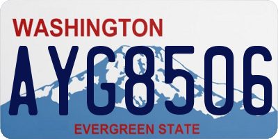 WA license plate AYG8506