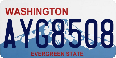 WA license plate AYG8508