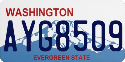 WA license plate AYG8509