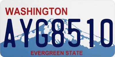WA license plate AYG8510
