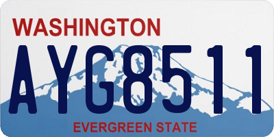 WA license plate AYG8511
