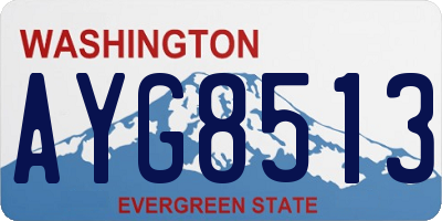 WA license plate AYG8513