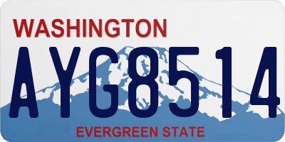 WA license plate AYG8514