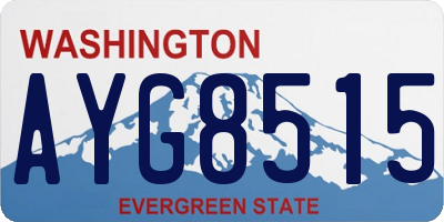 WA license plate AYG8515