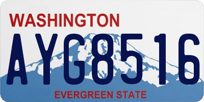 WA license plate AYG8516