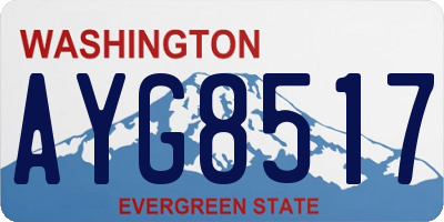 WA license plate AYG8517