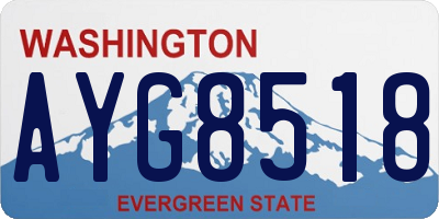 WA license plate AYG8518