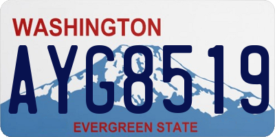 WA license plate AYG8519
