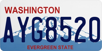 WA license plate AYG8520